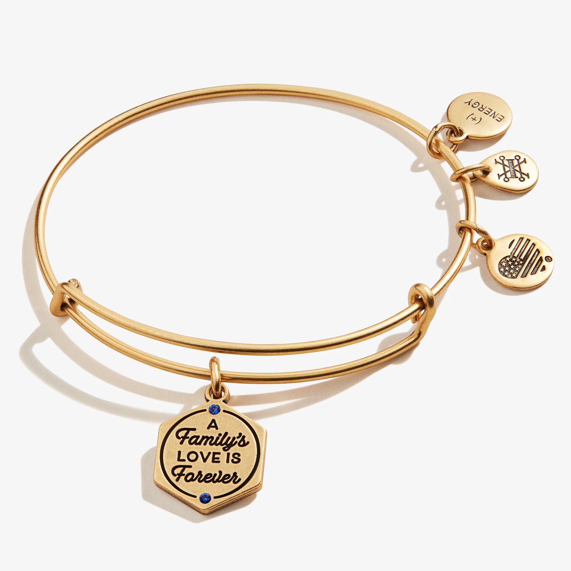 'A Family's Love is Forever' Charm Bangle - Image 3