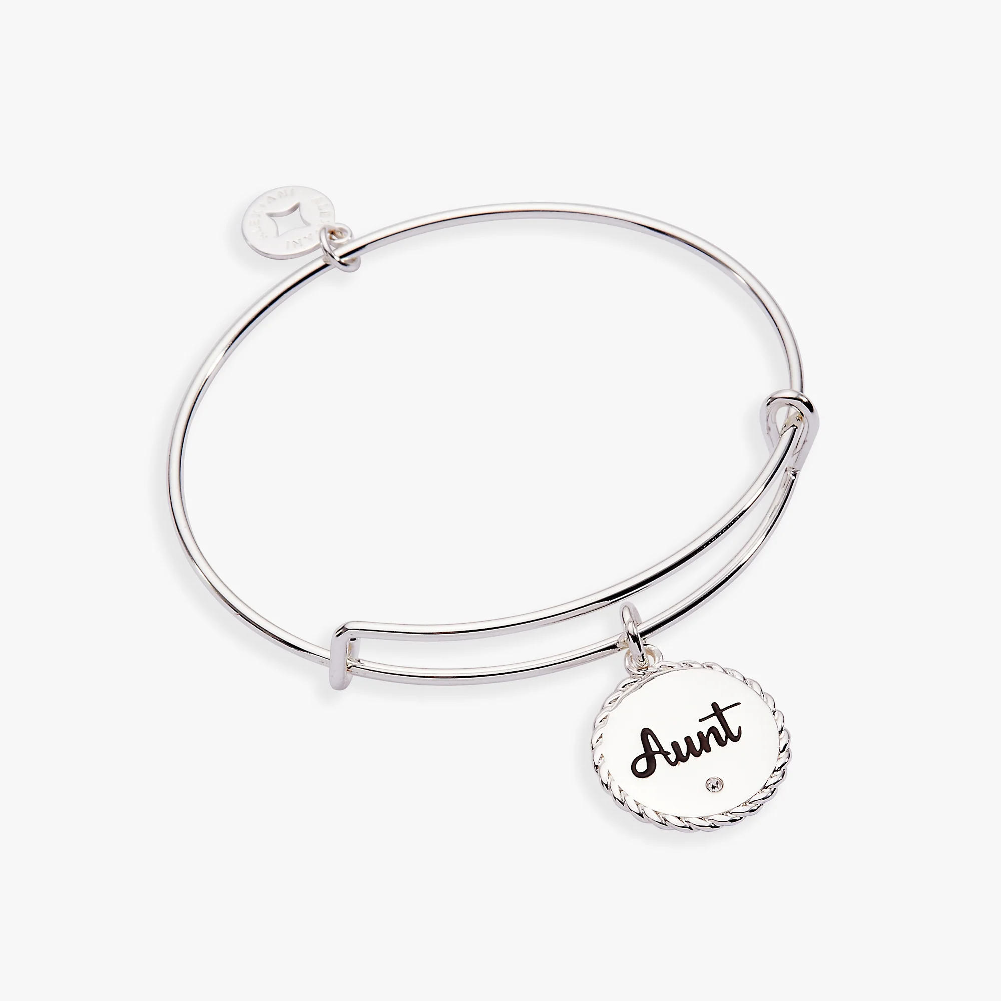 Aunt 'A Trusting Guide Forever By My Side' Charm Bangle - Image 4