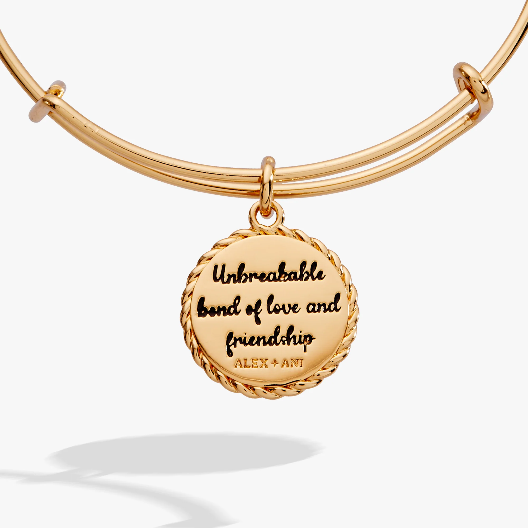 Niece 'Unbreakable Bond Of Love And Friendship' Charm Bangle - Image 2