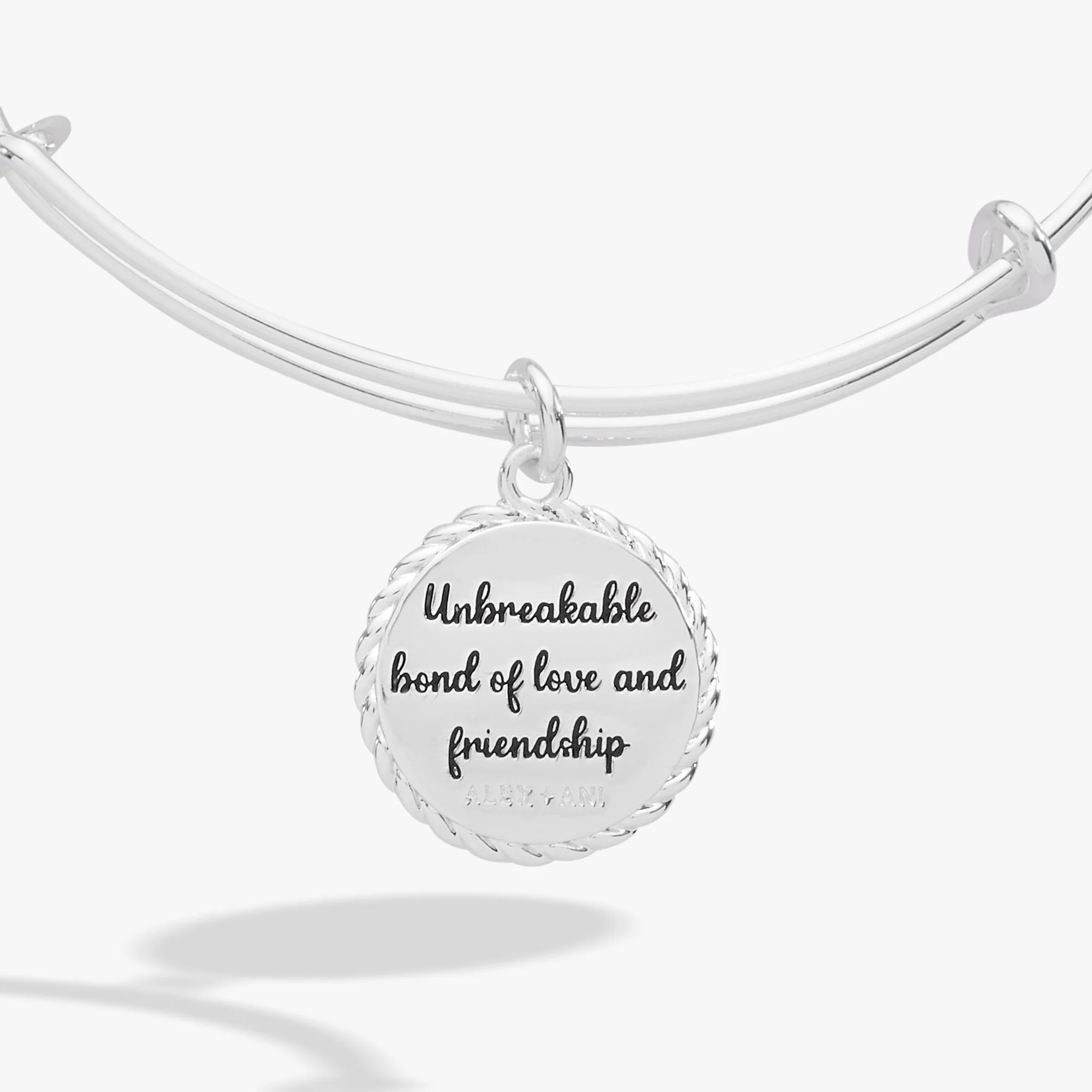 Niece 'Unbreakable Bond Of Love And Friendship' Charm Bangle - Image 6