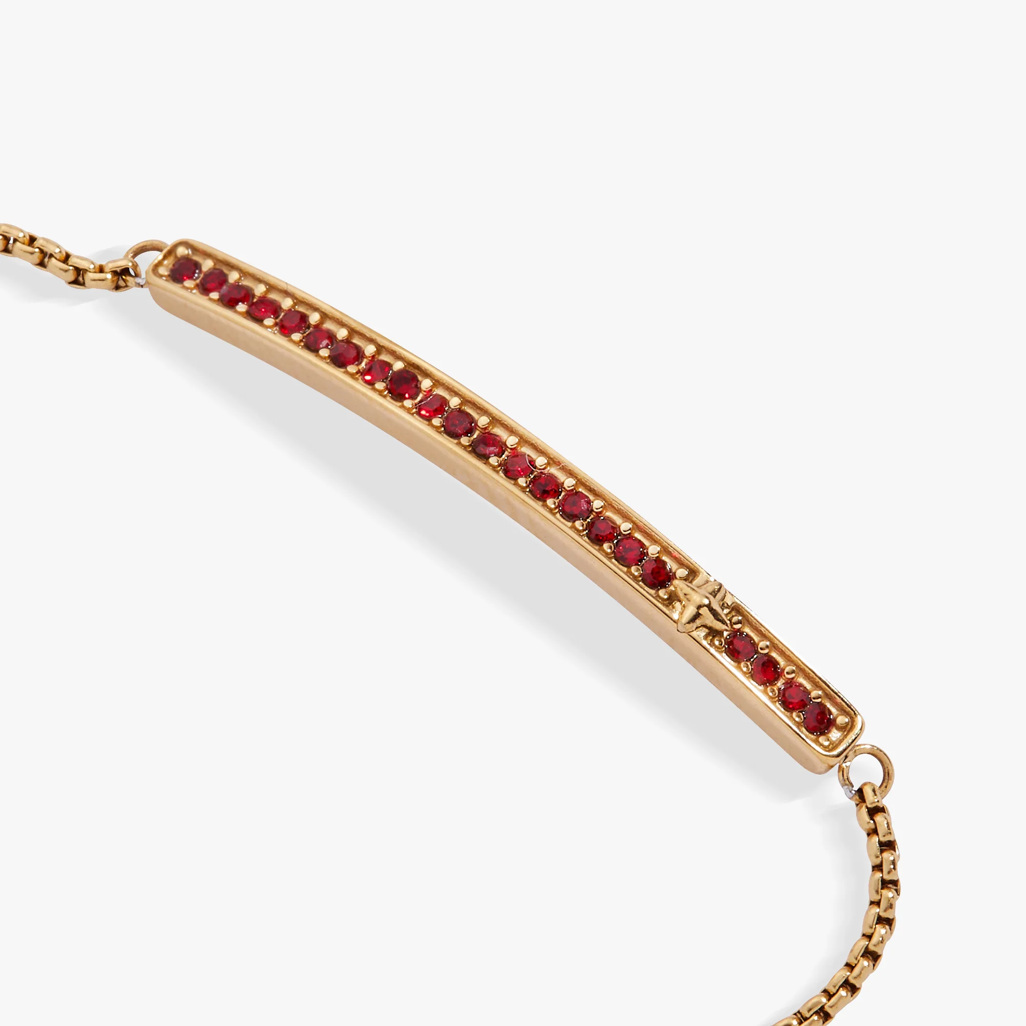 January Everyday Birthstone Pave Bolo Bracelet - Image 3
