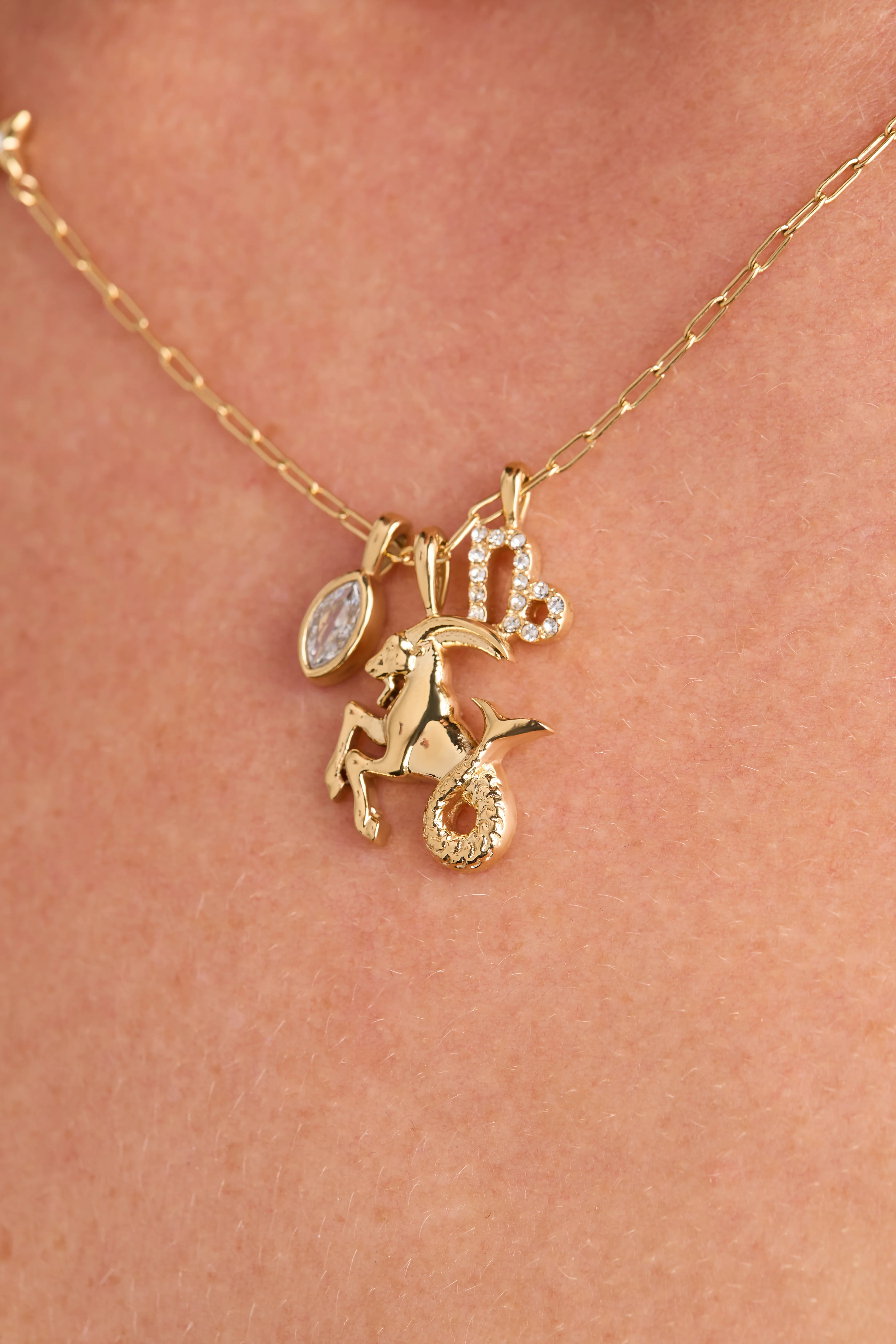 Capricorn Zodiac Charm Cluster Necklace - Image 4
