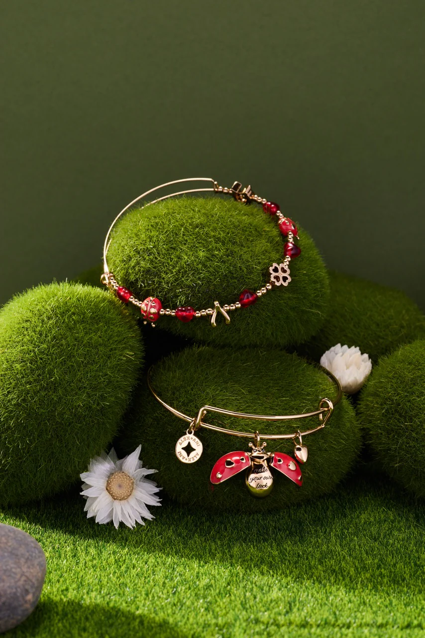 'Make Your Own Luck' Ladybug Charm Bangle - Image 8