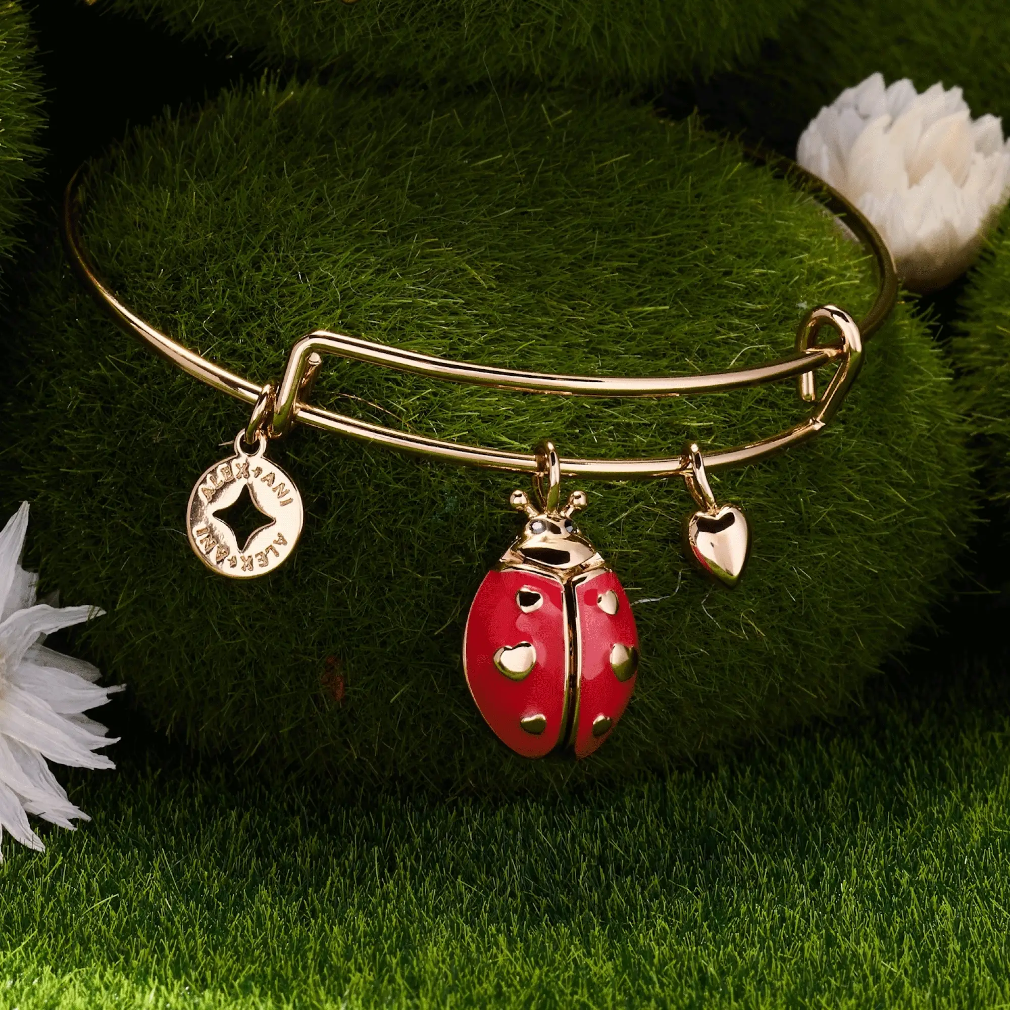 'Make Your Own Luck' Ladybug Charm Bangle - Image 2
