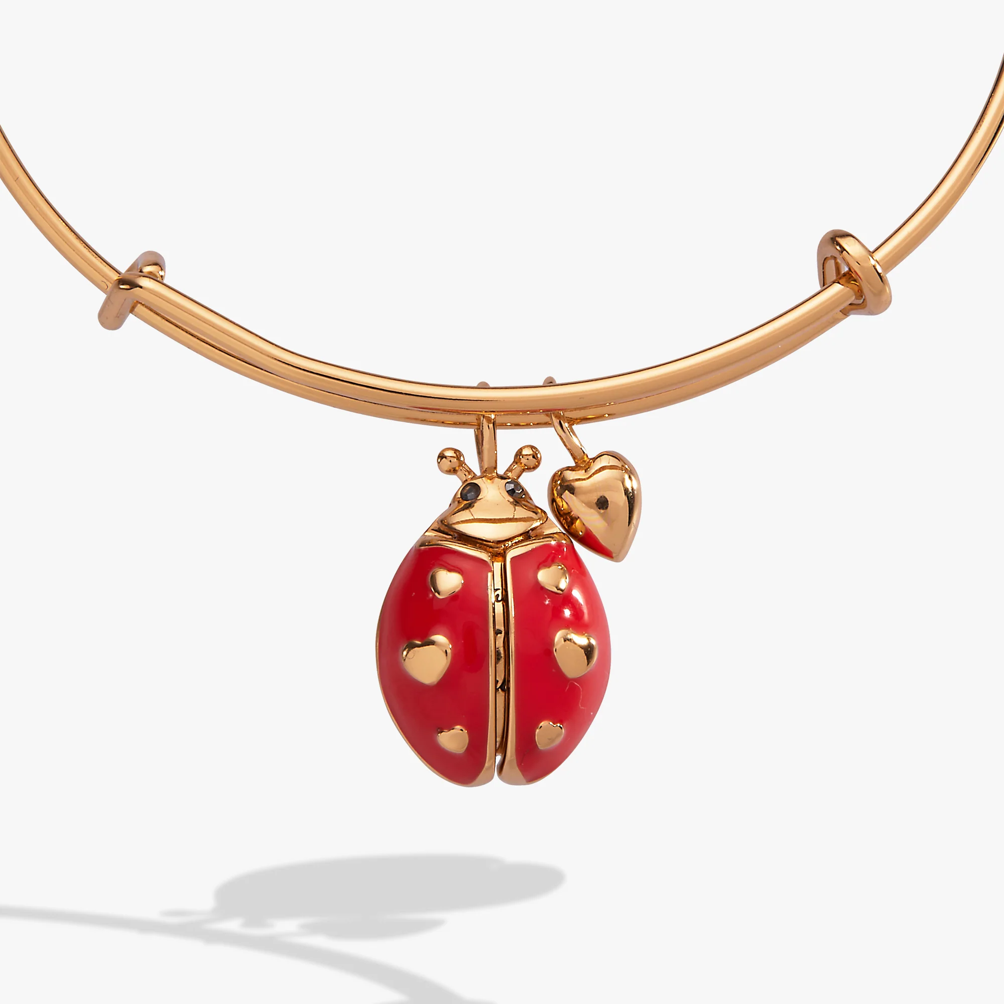 'Make Your Own Luck' Ladybug Charm Bangle - Image 4