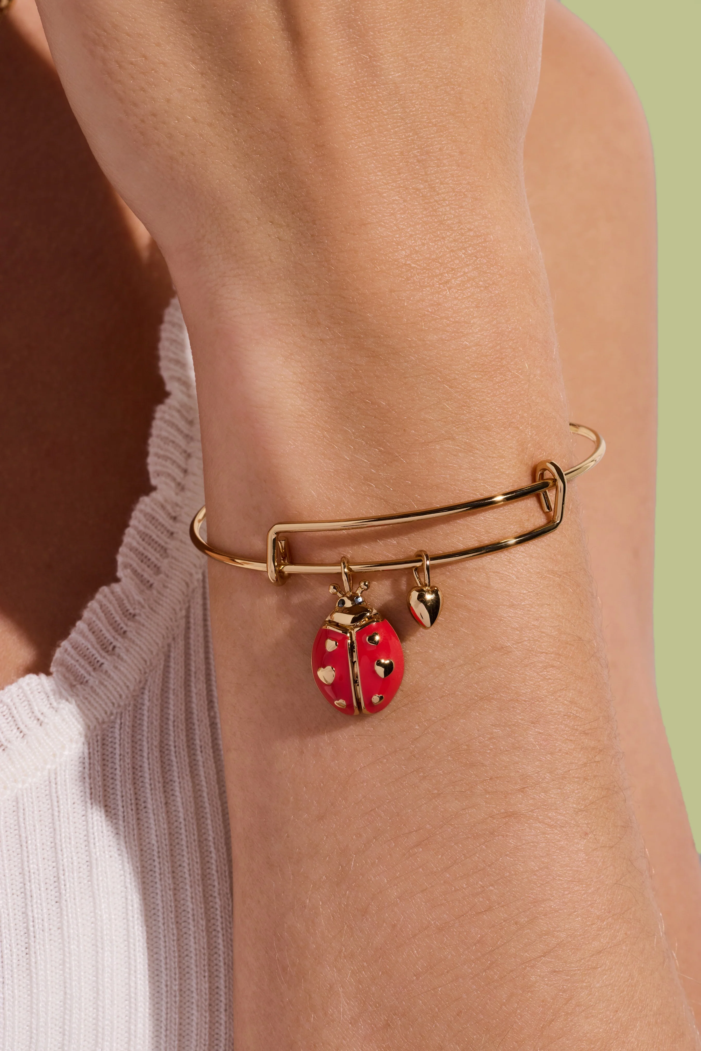 'Make Your Own Luck' Ladybug Charm Bangle - Image 5
