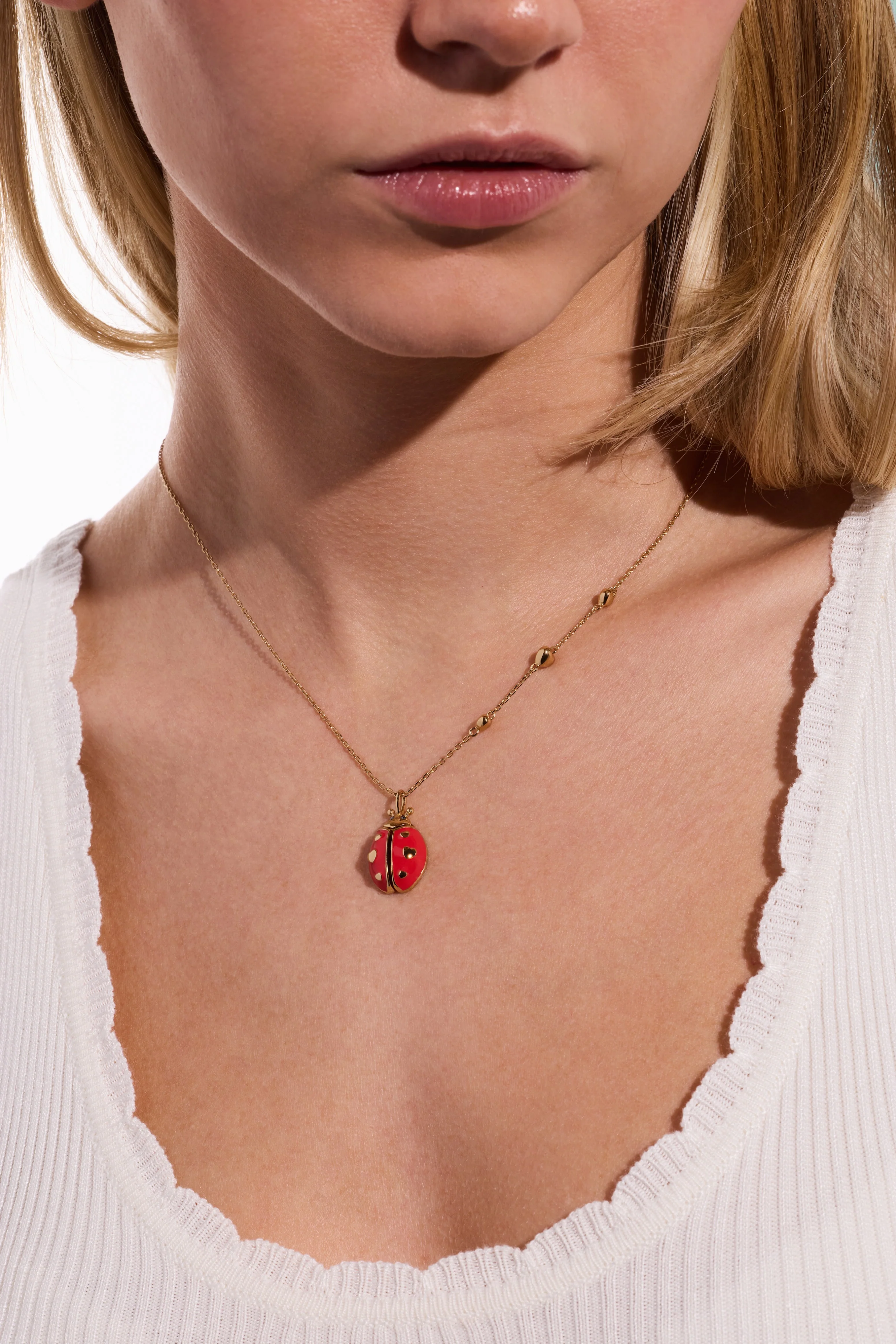 'Make Your Own Luck' Ladybug Locket Pendant - Image 6