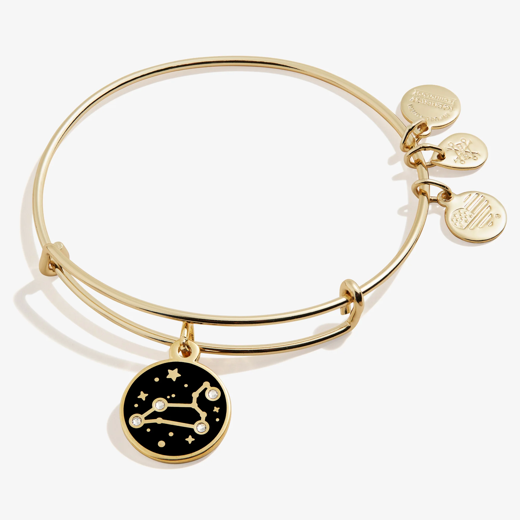 Leo Zodiac Charm Bangle - Image 5