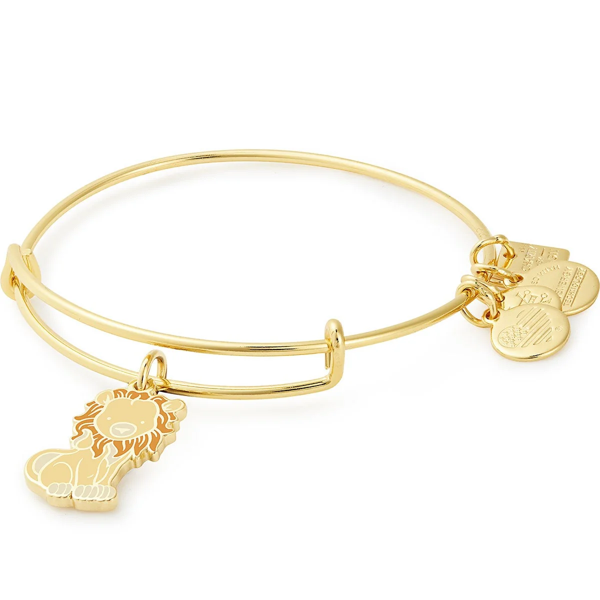 Lion Charm Bangle - Image 3