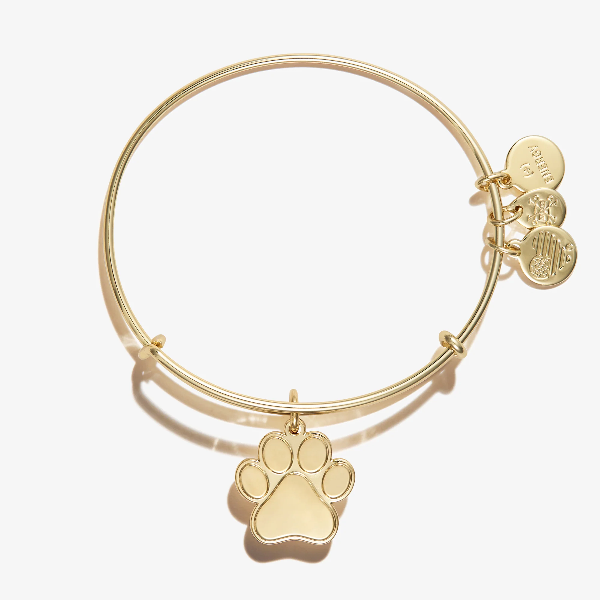 Paw Print Charm Bangle - Image 10