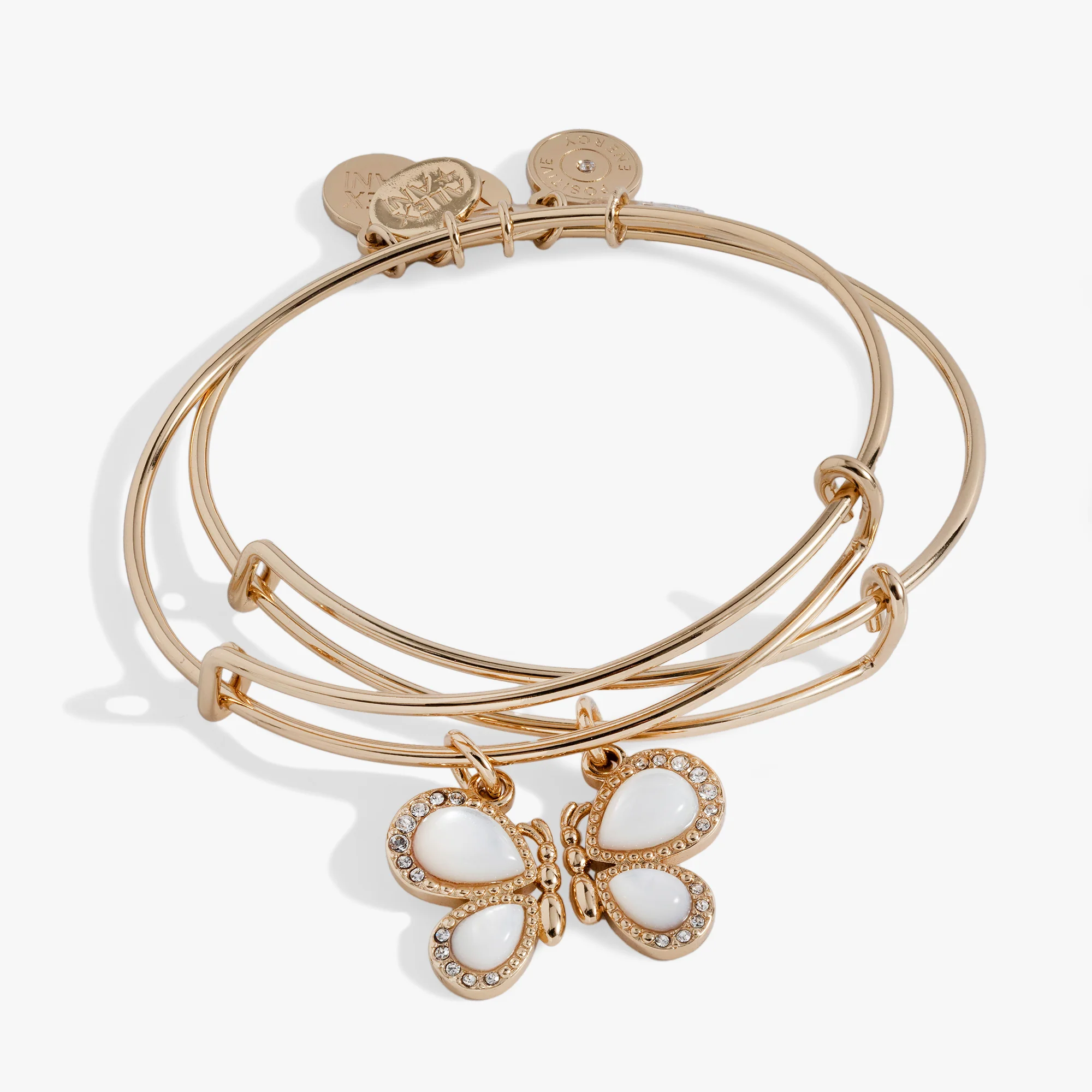 Perfect Pairs- Butterfly Wings Bangle Set of 2 - Image 2