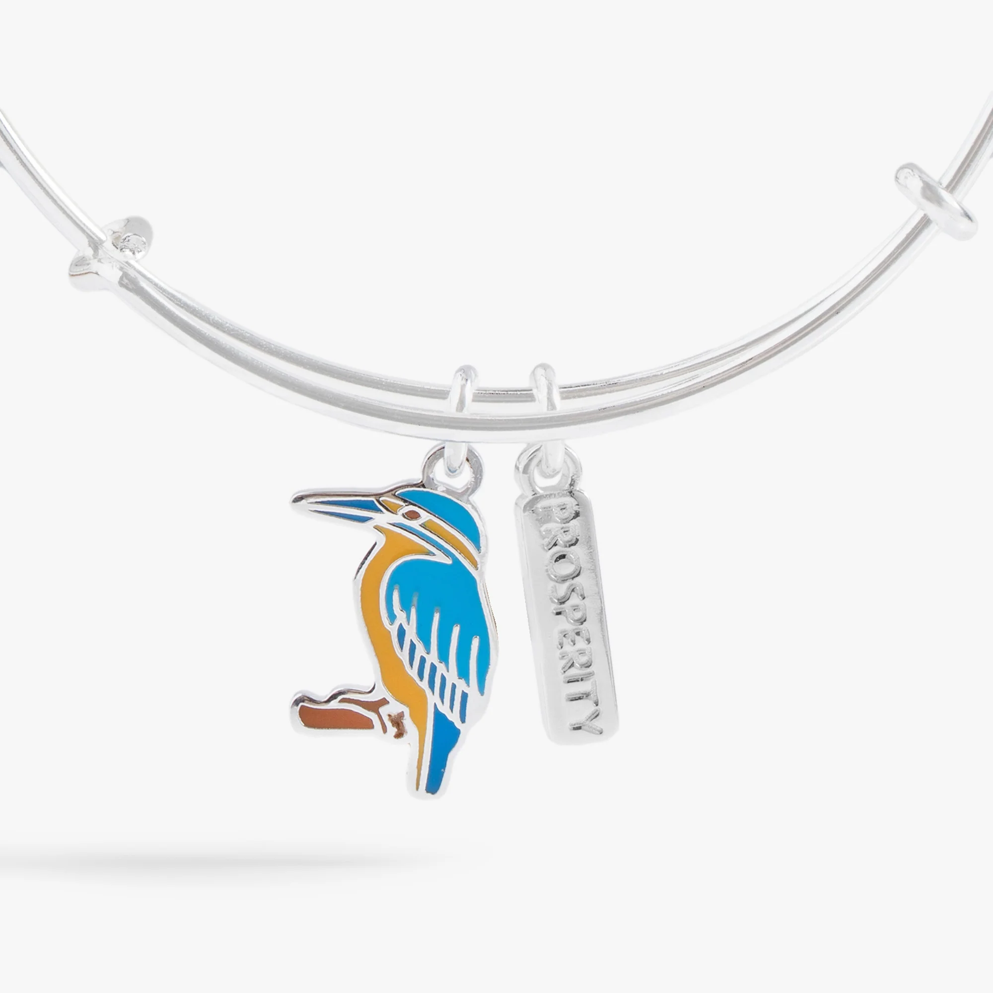 Prosperity Kingfisher Duo Charm Bangle - Image 2