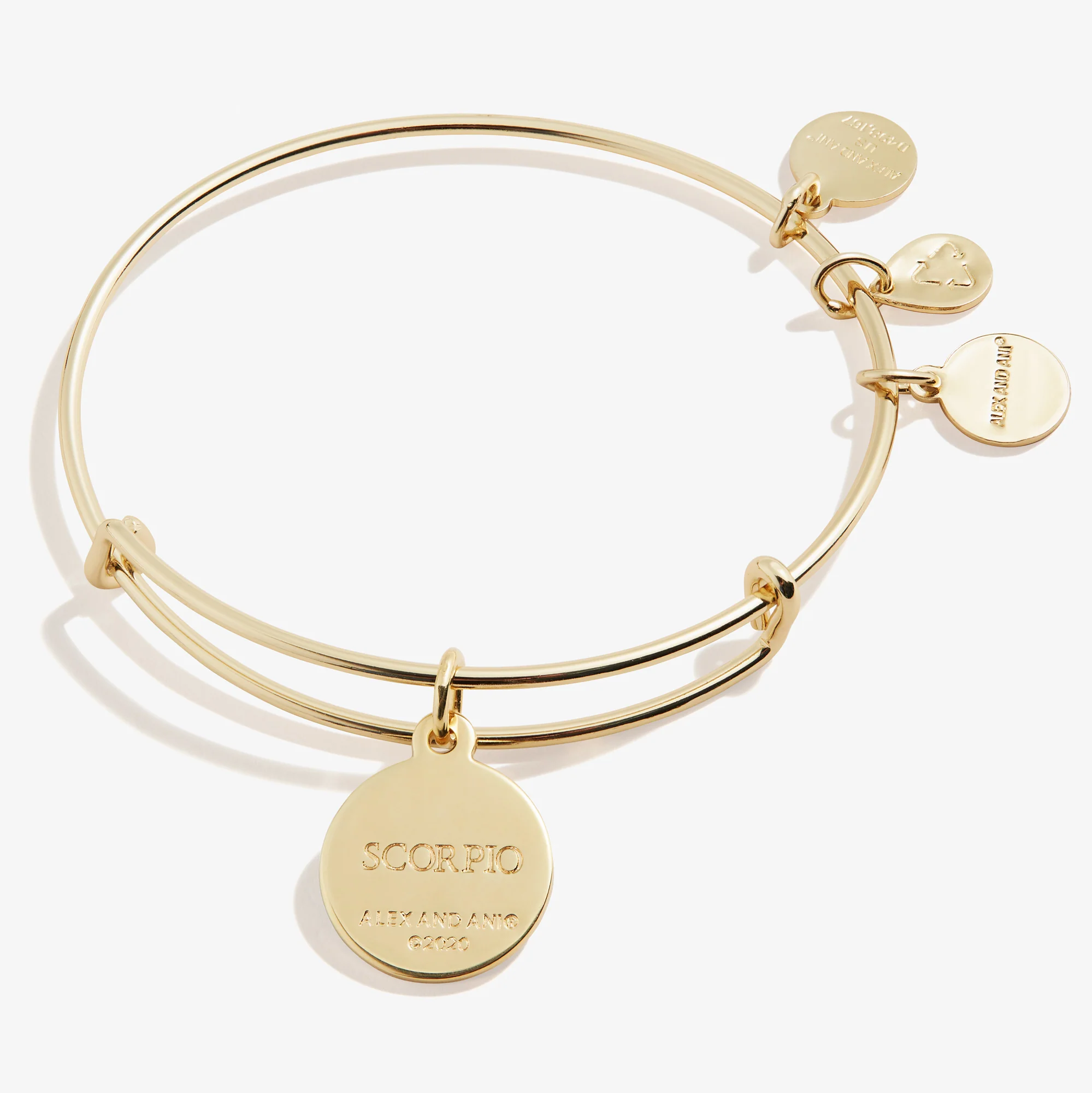 Scorpio Zodiac Charm Bangle - Image 7