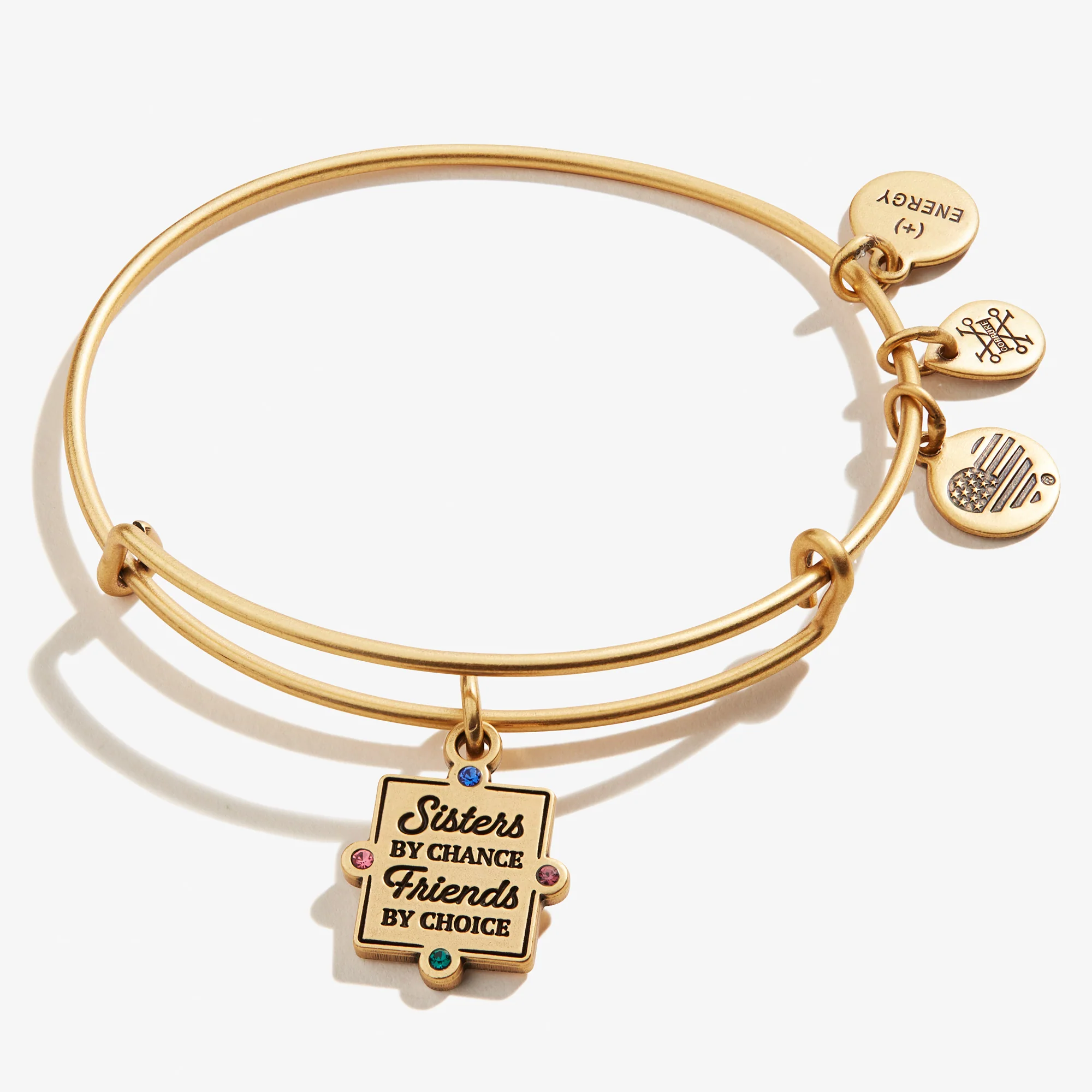 'Sisters By Chance, Friends By Choice' Charm Bangle - Image 3