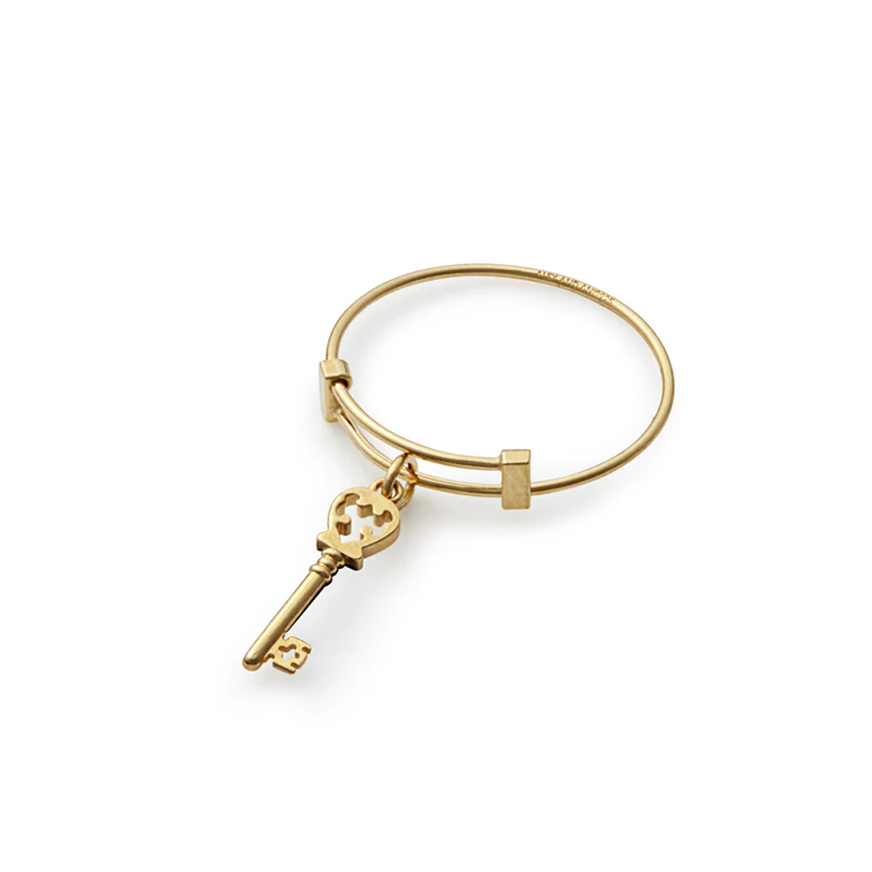Skeleton Key Wire Ring, Expandable - Image 2