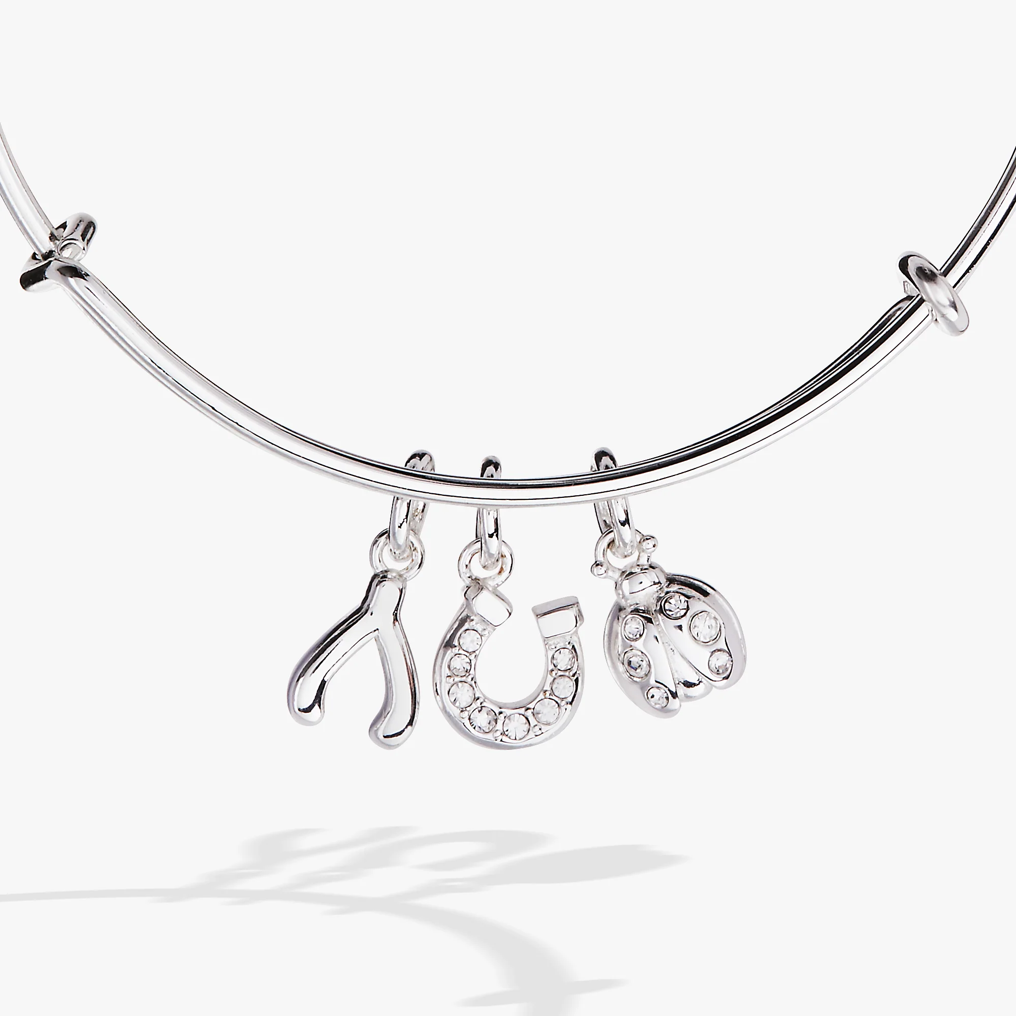 Love and Luck Multi-Charm Bangle - Image 3