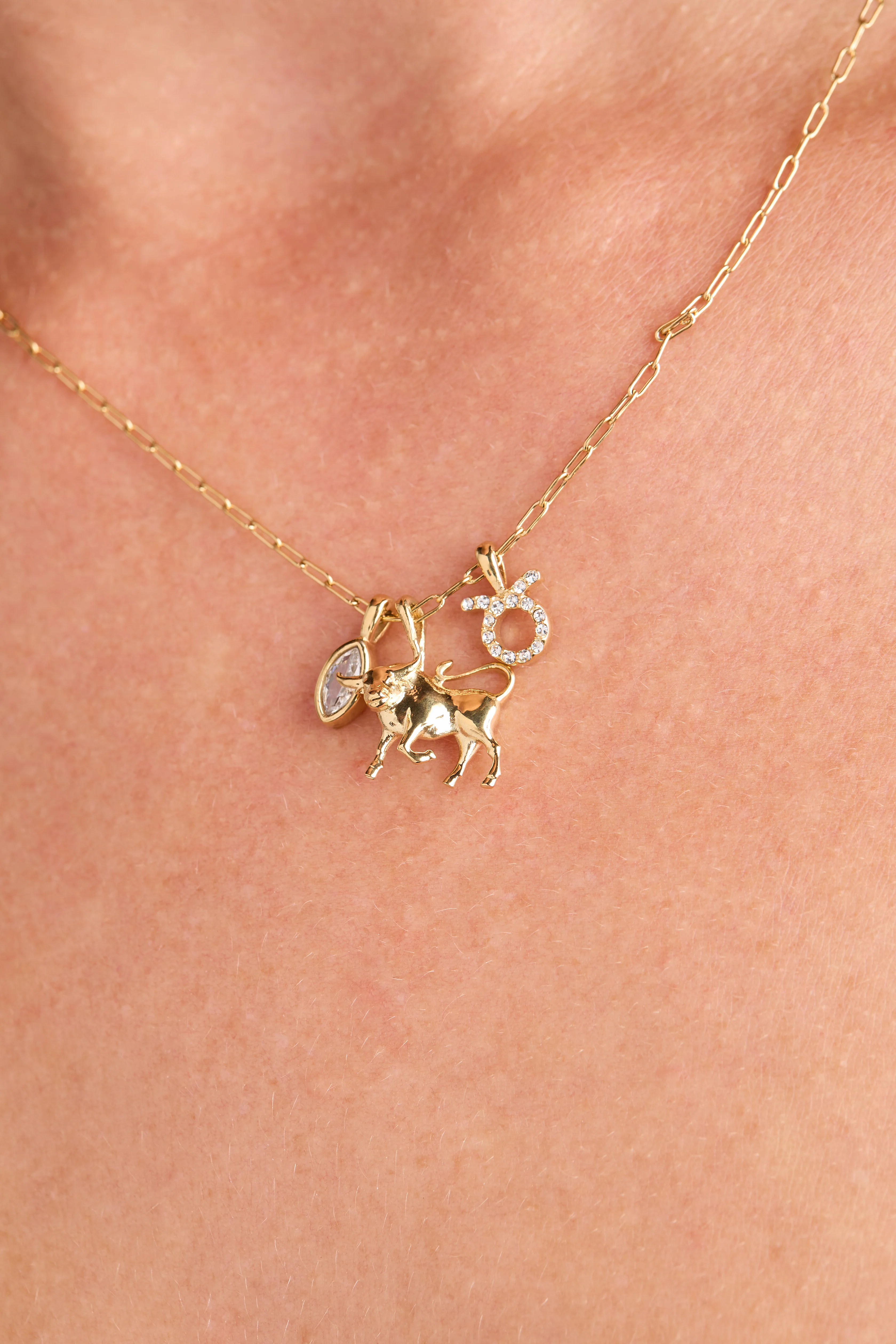 Taurus Zodiac Charm Cluster Necklace - Image 2