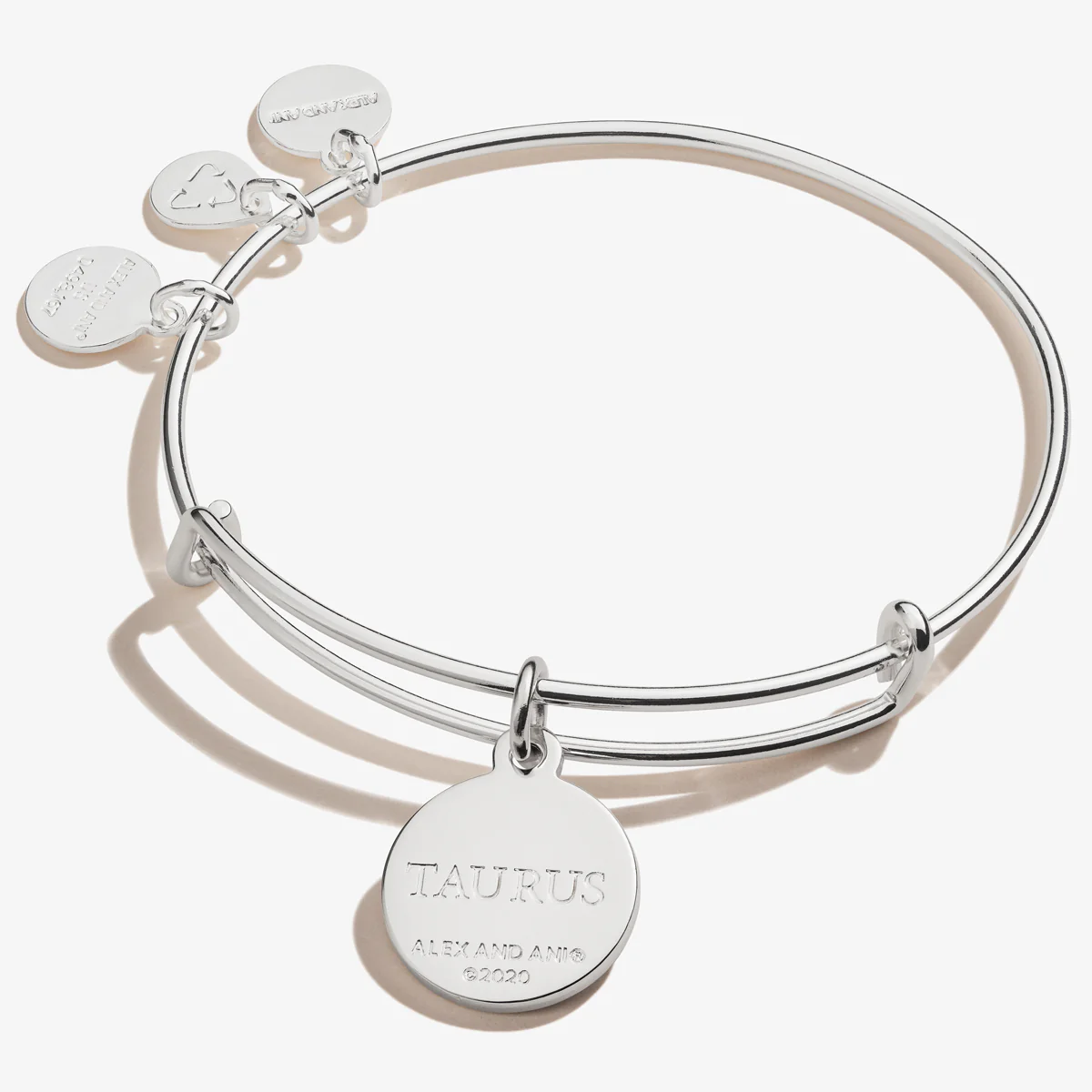 Taurus Zodiac Charm Bangle - Image 3