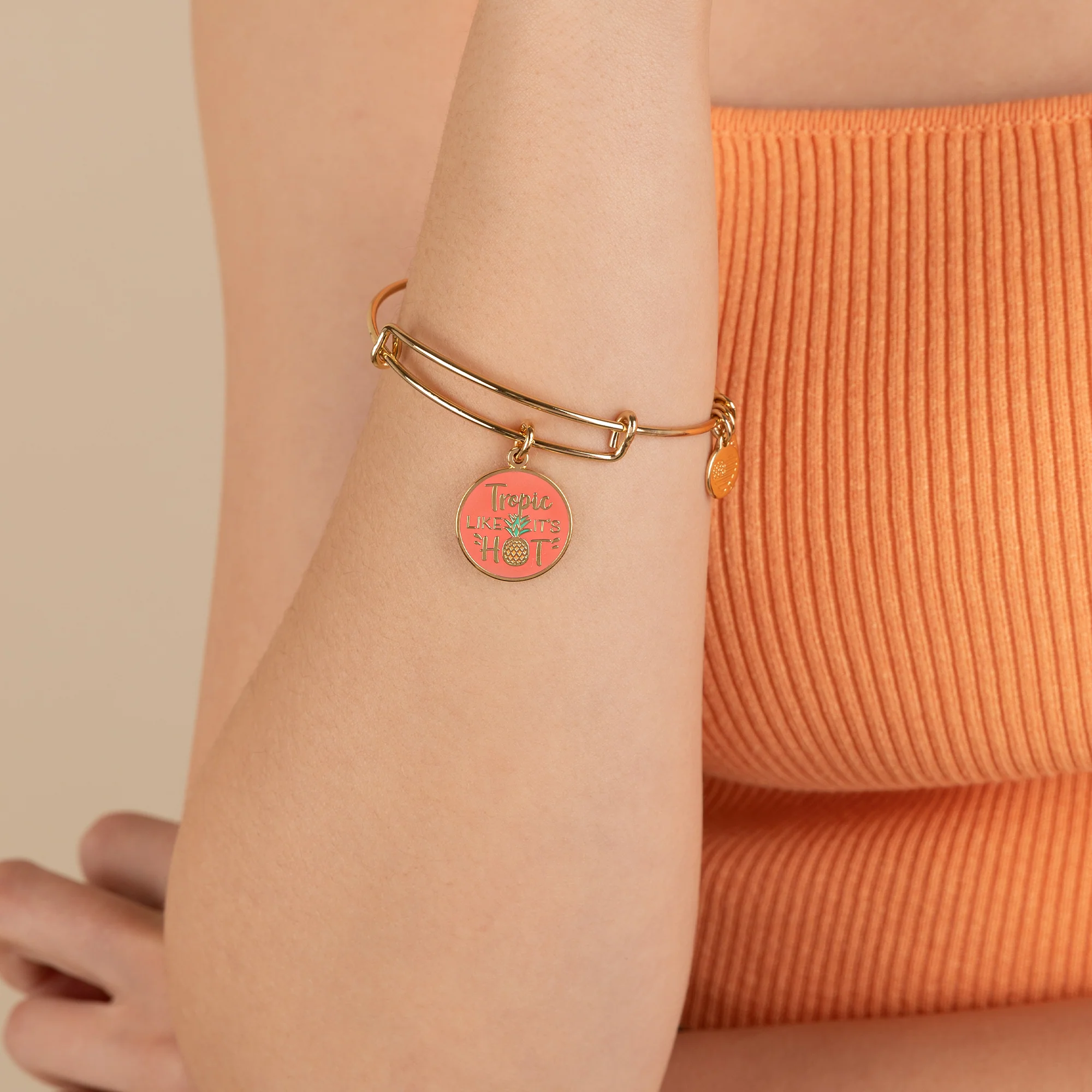'Tropic Like It's Hot' Charm Bangle - Image 2
