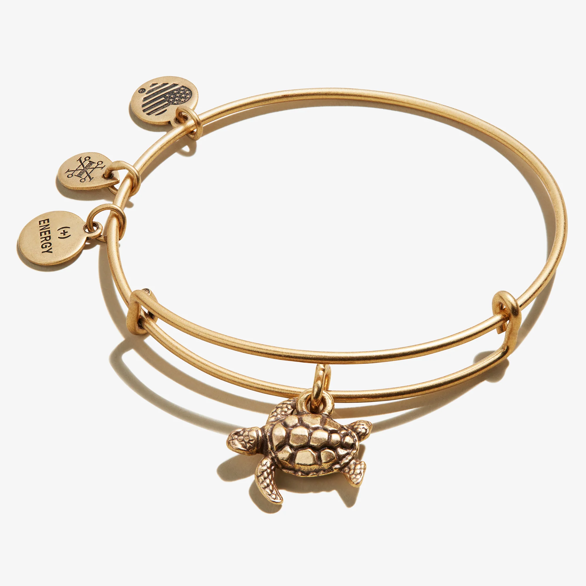 Turtle Charm Bangle - Image 3