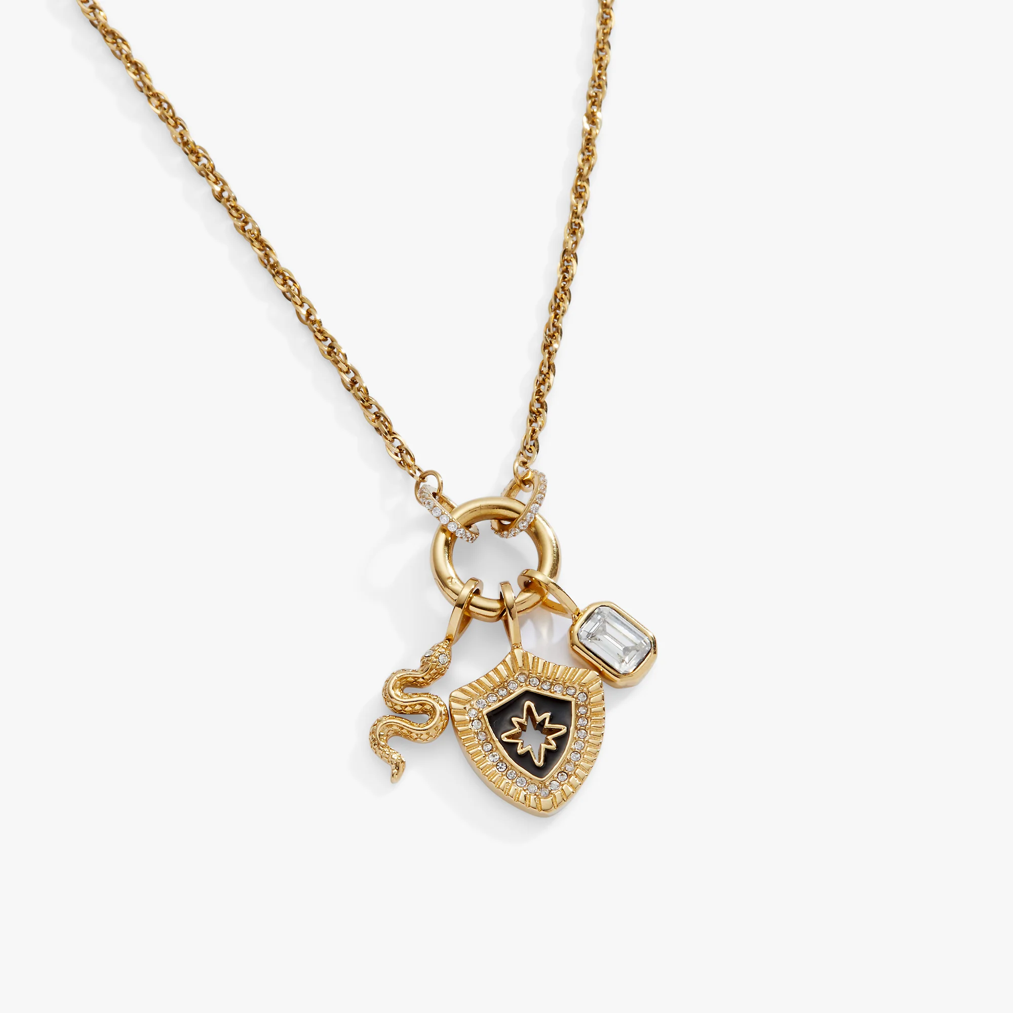 Wisdom Trio Interchangeable Charm Necklace - Image 3