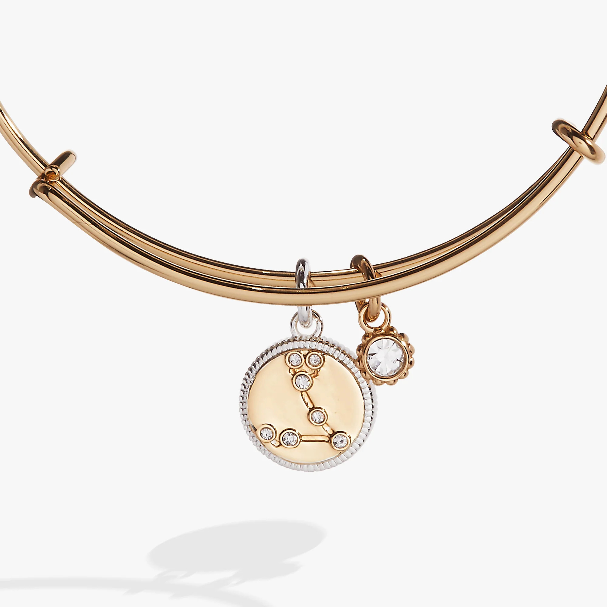 Pisces Zodiac Charm Bangle - Image 3