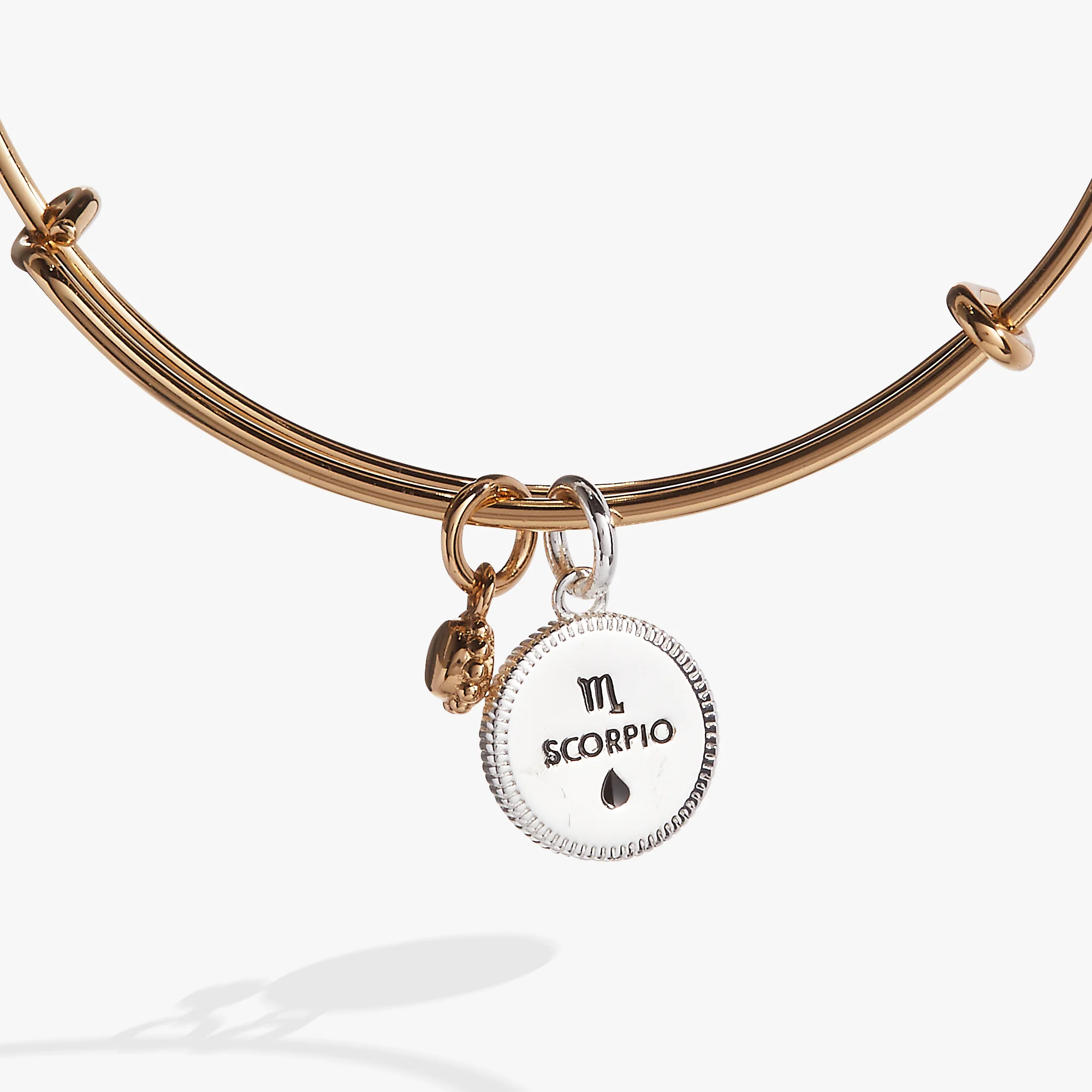 Scorpio Zodiac Charm Bangle - Image 3