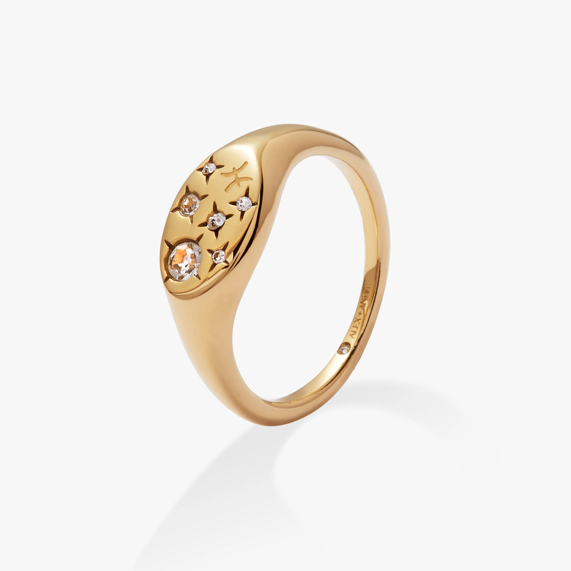 Pisces Zodiac Ring - Image 2